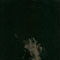 Black dissimulation